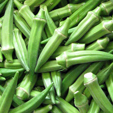 Sultani Çiçek Bamya Tohumu Paket 10 gr Paket