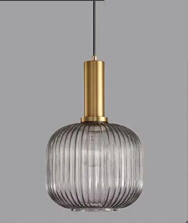 Rsylight Rustik Dekoratif Metal Modern Füme Opal Camlı Tekli  Avize çap:20