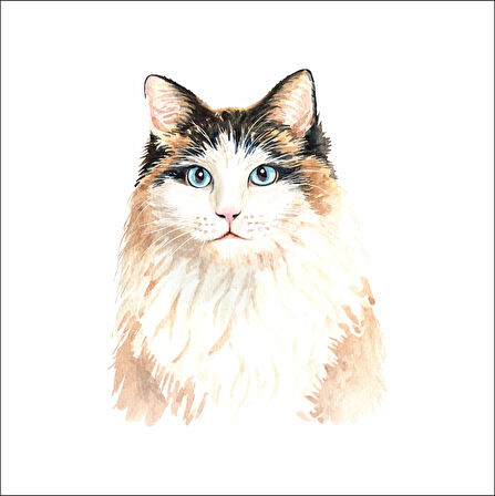 Sevimli kedi Sticker 2