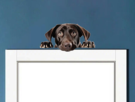 Koyu Kahverengi Labrador Köpek Duvar Sticker'ı