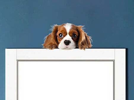 Kahverengi Beyaz Cavalier King Charles Spaniel Köpek Duvar Sticker'ı