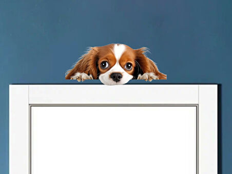 Kahverengi Beyaz Cavalier King Charles Spaniel Köpek Duvar Sticker'ı