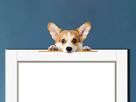 Rottweiler Yavrusu Duvar Stickerı