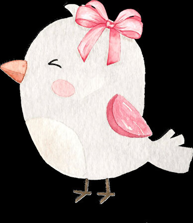 Fiyonklu Kuş Duvar Stickerı