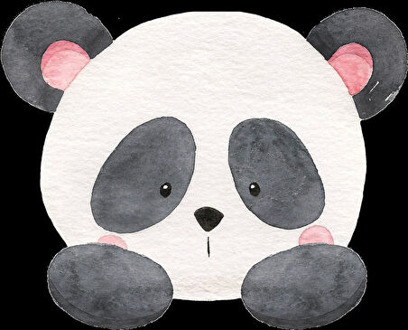 Panda Kafası Duvar Stickerı