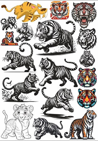 Kaplan Sticker Set 2