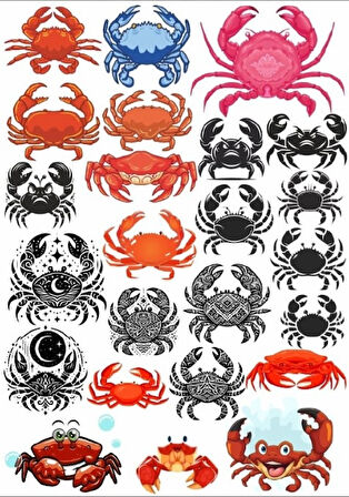 Yengeç Sticker Set