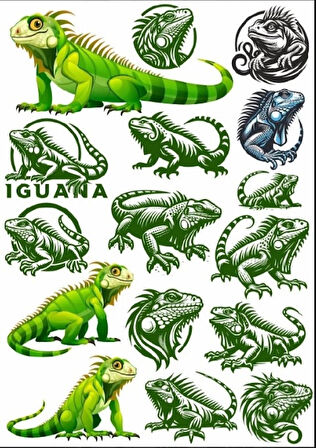 İguana Sticker Set