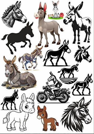 Eşşek Sticker SEt