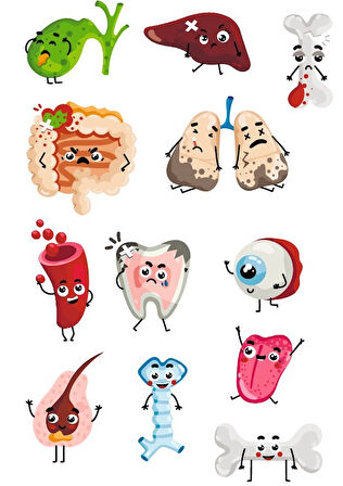 Sevimli Organlar Sticker SEt