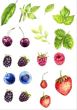 Meyveler Sticker SEt