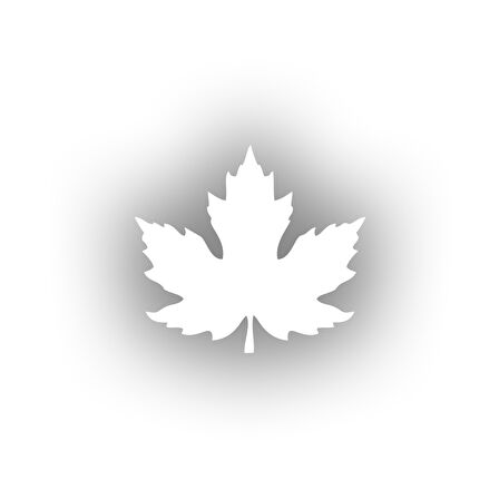 Çınar  Yaprağı Araba Sticker 17x17 Cm Beyaz