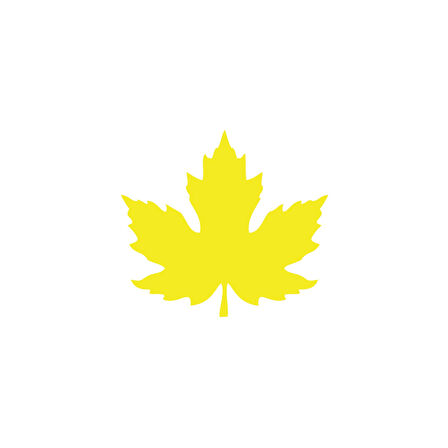 Çınar  Yaprağı Araba Sticker 17x17 Cm Sarı