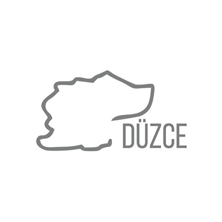 Düzce Harita Araba Sticker 17x17 Cm Gri