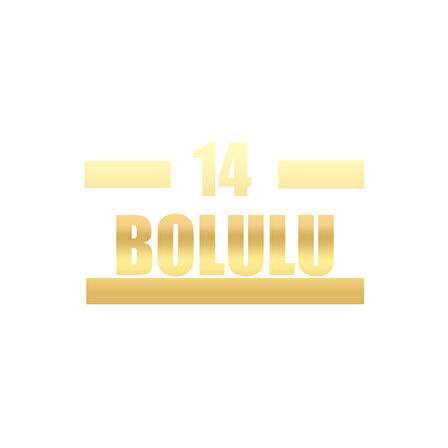 14 Bolulu Araba Sticker 17x17 Cm Gold