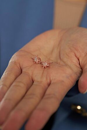Zirkon Taşlı Rose Kutup Yıldızı Çivili Gümüş Küpe 