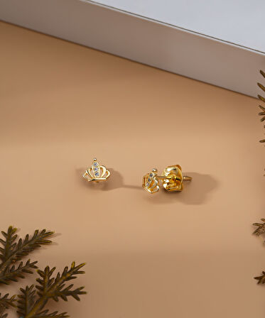 925 Ayar Gold Zirkon Taşlı Minimal Taç Çivili Gümüş Küpe
