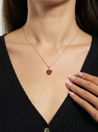 925 Ayar Gümüş Gold Renk Yakut Taşlı Kafes Kalp Arkadaşlık Kolyesi