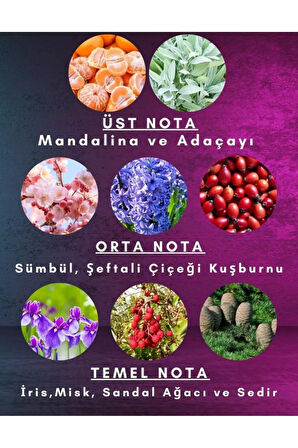 Red Amour (2 adet) Kadın Parfüm 50 ml Edp