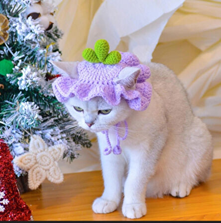 Kedi aksesuarı hediyelik şapka yeni yıl Noel hediyesi pet aksesuar Kedi beresi