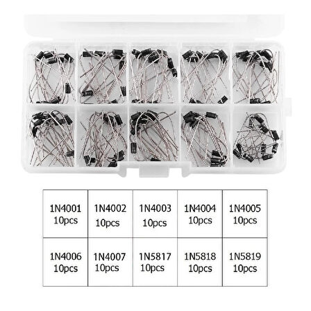 100 Parça Diyot Seti 10 Farklı Değerde DO-41 Kılıf