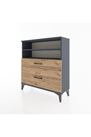 Arges Şifonyer 2 Raflı 2 Çekmeceli 88x30x96 Antrasit-Çam