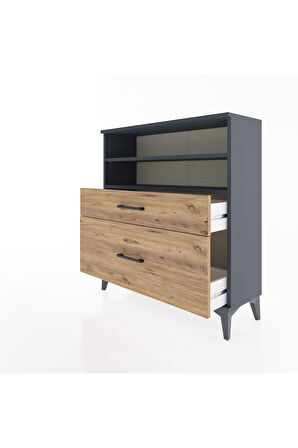 Arges Şifonyer 2 Raflı 2 Çekmeceli 88x30x96 Antrasit-Çam