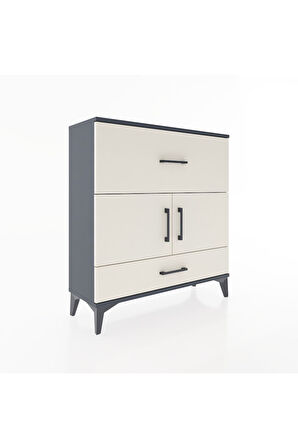 Arges Şifonyer 2 Raflı 2 Çekmeceli 2 Kapaklı 88x30x96 Antrasit-Aytaşı