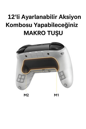 MY BLACK Kablosuz RGB Oyun Kolu – Multi Platform Destekli, Makro Programlama