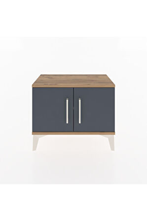 Arges Komodin Tek Raflı 2 Kapaklı 60x30x48 Çam-Antrasit