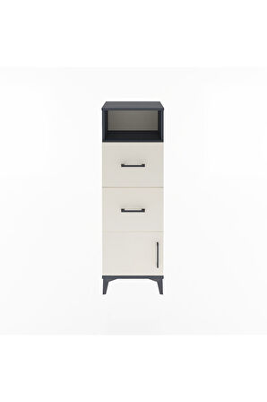 Arges Dolap Tek Raflı 2 Çekmeceli Tek Kapaklı 44x30x134 Antrasit-Aytaşı