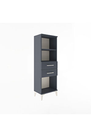 Arges Dolap 2 Raflı 2 Çekmeceli 44x30x134 Antrasit-Antrasit