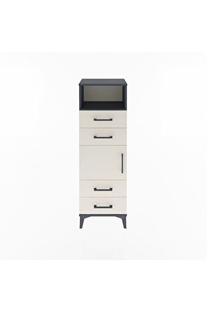 Arges Dolap 2 Raflı 4 Çekmeceli Tek Kapaklı 44x30x134 Antrasit-Aytaşı