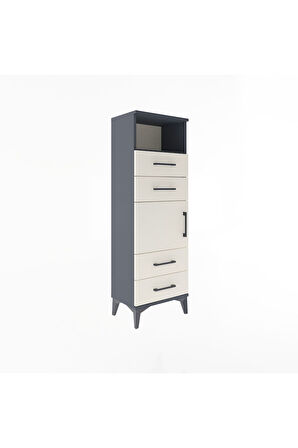 Arges Dolap 2 Raflı 4 Çekmeceli Tek Kapaklı 44x30x134 Antrasit-Aytaşı