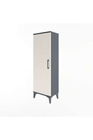 Arges Dolap 3 Raflı Tek Kapaklı 44x30x134 Antrasit-Aytaşı