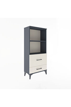 Arges Dolap 2 Raflı 2 Çekmeceli 60x30x134 Antrasit-Aytaşı