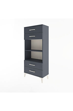 Arges Dolap 2 Raflı 4 Çekmeceli 60x30x134 Antrasit-Antrasit