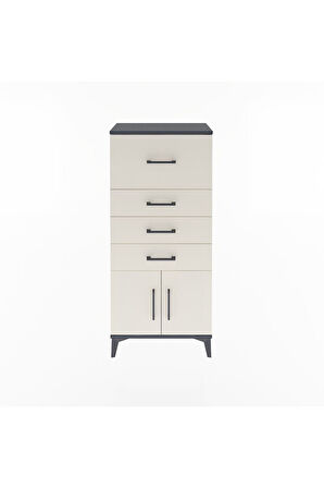 Arges Dolap 4 Çekmeceli 2 Kapaklı 60x30x134 Antrasit-Aytaşı