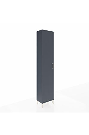 Arges Dolap 2 Raflı Tek Kapaklı Tek Askılı 44x30x221 Antrasit-Antrasit