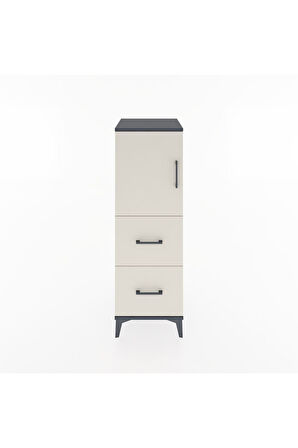 Hyperion Dolap 2 Raflı 2 Çekmeceli Tek Kapaklı 44x44x134 Antrasit-Aytaşı