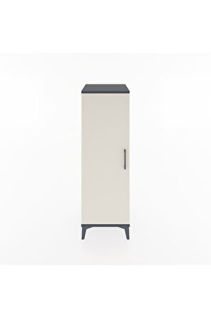 Hyperion Dolap Tek Raflı Tek Kapaklı Tek Askılı 44x44x134 Antrasit-Aytaşı