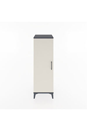 Hyperion Dolap 3 Raflı Tek Kapaklı 44x44x134 Antrasit-Aytaşı