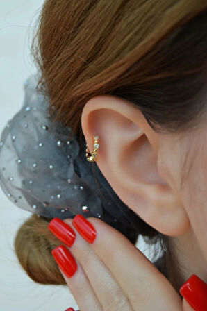 Taşlı Sıralı Mini Kalpli Halka Tragus Helix KIkırdak Piercing Forward Helix