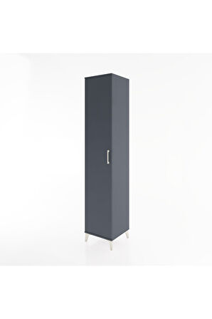 Hyperion Dolap 3 Raflı Tek Kapaklı 44x44x221 Antrasit-Antrasit