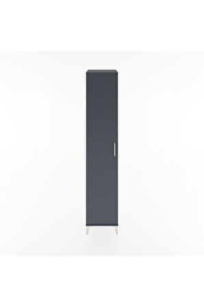 Hyperion Dolap 2 Raflı Tek Kapaklı Tek Askılı 44x44x221 Antrasit-Antrasit