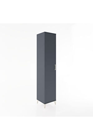 Hyperion Dolap 2 Raflı Tek Kapaklı Tek Askılı 44x44x221 Antrasit-Antrasit