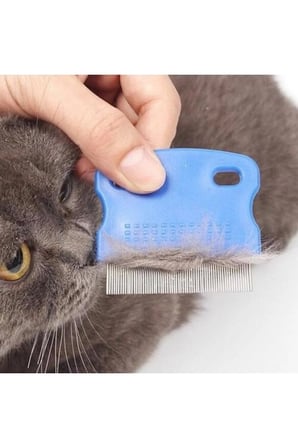 1 Adet Kedi Köpek Bit Pire Tarağı – Metal Dişli Yuvarlak Uçlu Pet Comb Flea Comb Nit Comb Kaymaz Sap