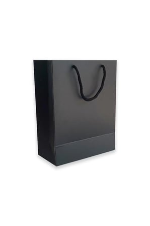10 Adet Siyah Karton İpli Çanta (20.5x25.5x10)