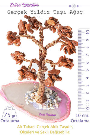 Sertifikalı Gerçek Kahverengi Yıldız Taşı Ağaç - Akik Plakalı