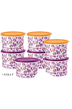 Tupperware Renkli Buzdolabı Taşıma Ve Saklama Kabı 1.1 Lt 7li Set